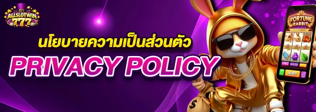 นโยบายความเป็นส่วนตัว